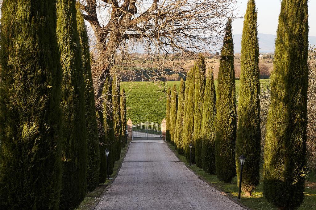 Podere Fontegallo กัสติลโยเน เดล ลาโก ภายนอก รูปภาพ