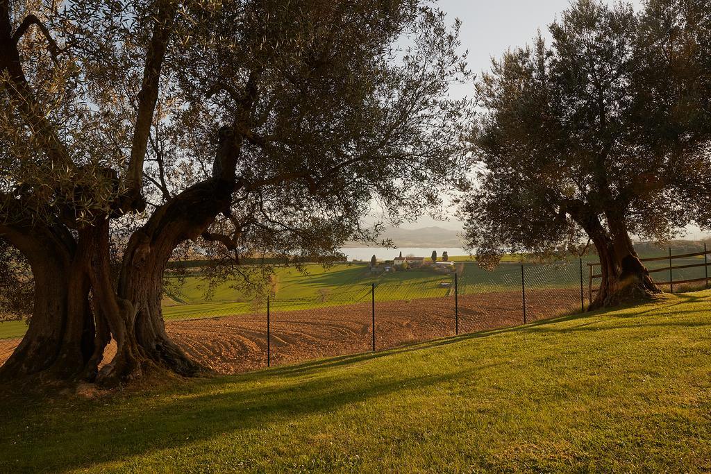 Podere Fontegallo กัสติลโยเน เดล ลาโก ภายนอก รูปภาพ