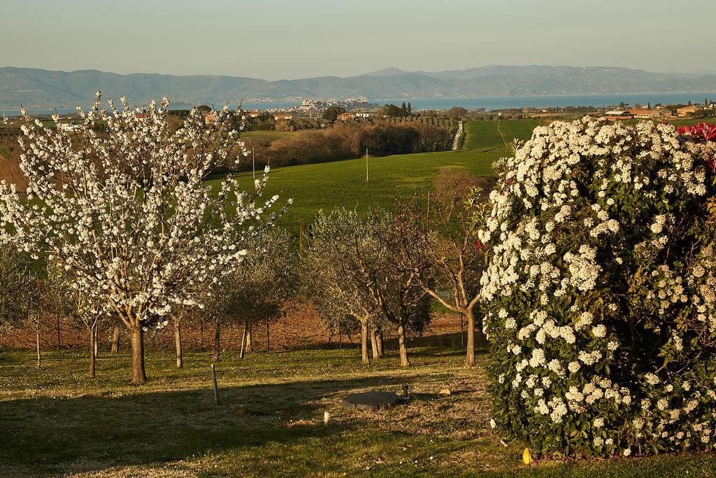 Podere Fontegallo กัสติลโยเน เดล ลาโก ภายนอก รูปภาพ