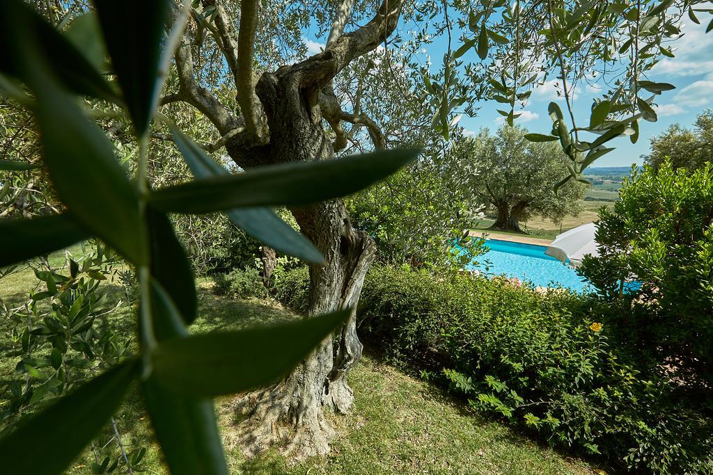 Podere Fontegallo กัสติลโยเน เดล ลาโก ภายนอก รูปภาพ